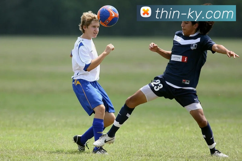 App Interface Preview